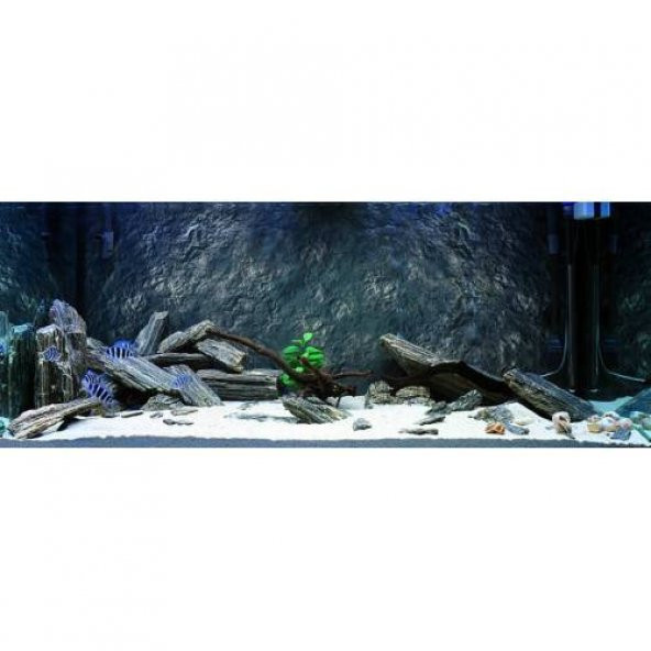 10 kg Gnays Kaya Orijinal 1.Kalite Doğal Dekoratif Simli Gnays - 3