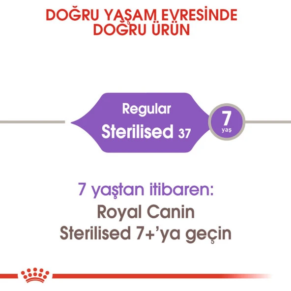 Royal Canin Sterilised 37 Kısırlaştırılmış Kedi Maması 15 Kg. - 2
