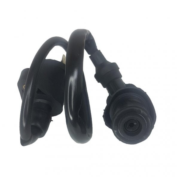 DIŞ BOBİN+BUJİ BAŞLIĞI  SCOOTER-MCT 250-PEJO - 2