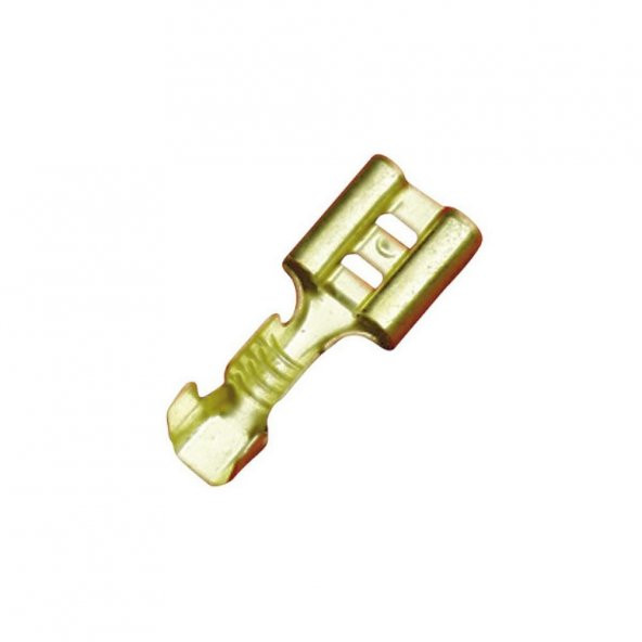 DİŞİ FİŞ ürün görseli 1