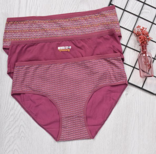 BAYAN KÜLOT-BİG SİZE (3li Paket) ürün görseli