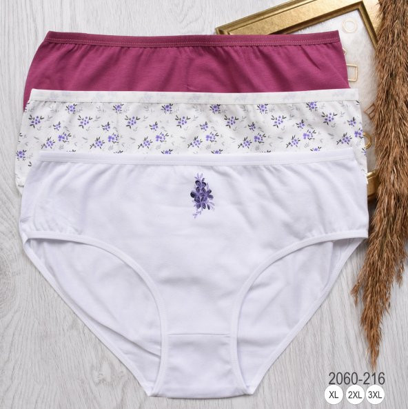 BAYAN KÜLOT-BİG SİZE (3li Paket) ürün görseli