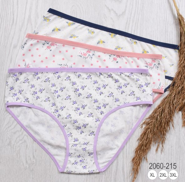 BAYAN KÜLOT-BİG SİZE (3li Paket) ürün görseli