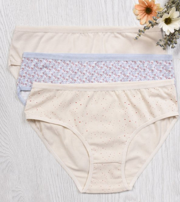 BAYAN KÜLOT-BİG SİZE (3li Paket) ürün görseli