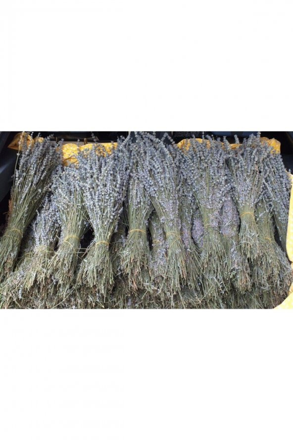 Doğal Lavanta Buketi Demeti - 3