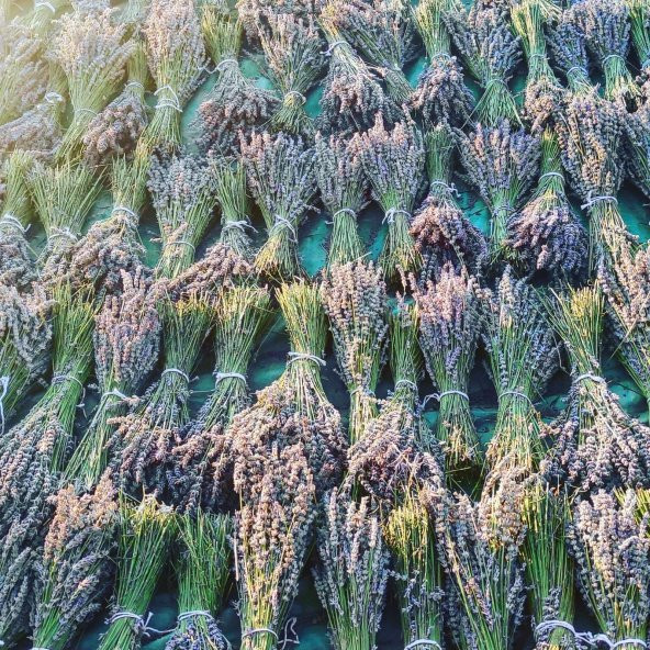 2 Demet Doğal lavanta demeti