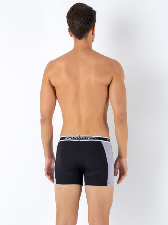 Erkek Boxer - Resim 3