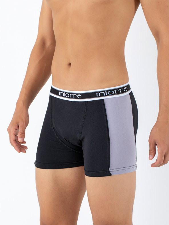 Erkek Boxer - Resim 4