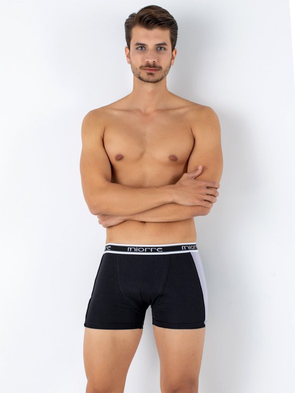 Erkek Boxer - Resim 5