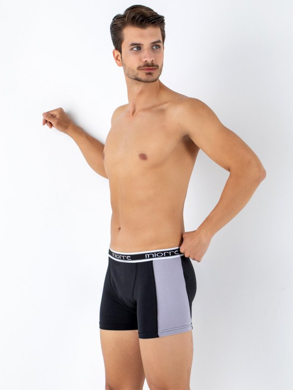 Erkek Boxer - Resim 6