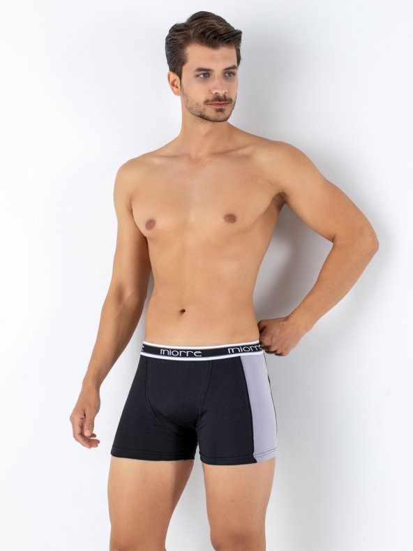 Erkek Boxer - Resim 7