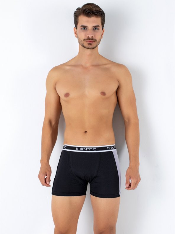 Erkek Boxer - Resim 2