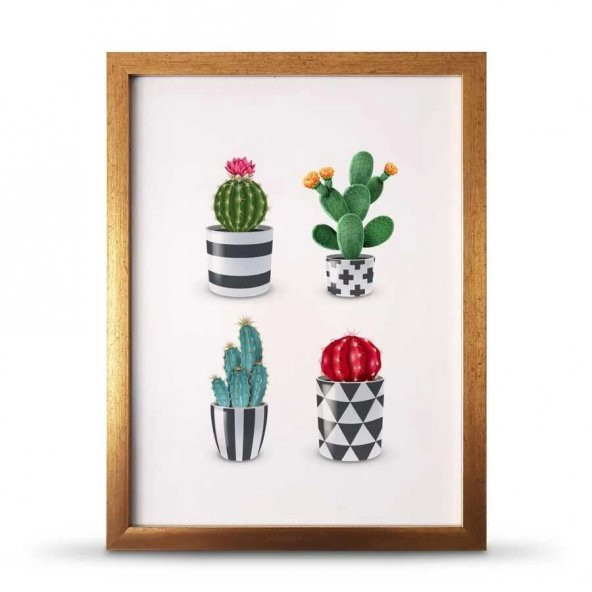Kaktüs Poster Çerçeve - 30x40 cm Büyük Boy
