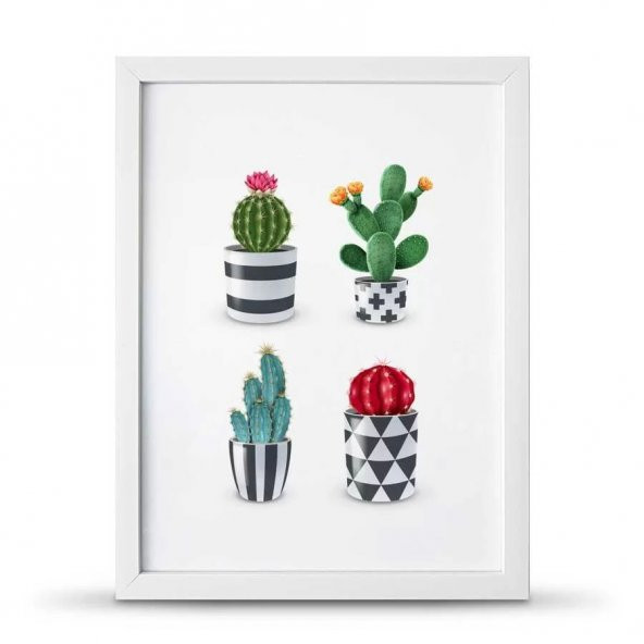 Kaktüs Poster Çerçeve - 30x40 cm Büyük Boy - 2