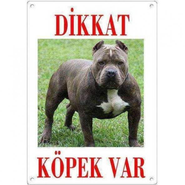 Dikkat Köpek Var Uyarı Levhası (Renkli Pitbull)