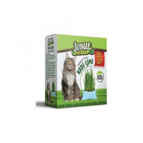 Jungle Kedi Çimi ürün görseli