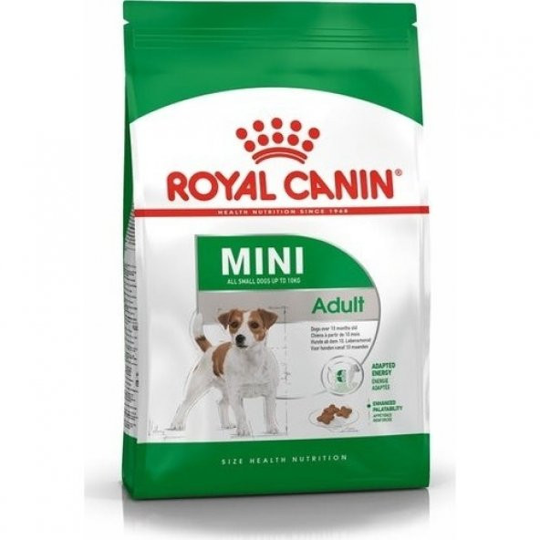 Royal Canin Shn Mini Adult Yetişkin Küçük Irk Köpek Maması 2 Kg