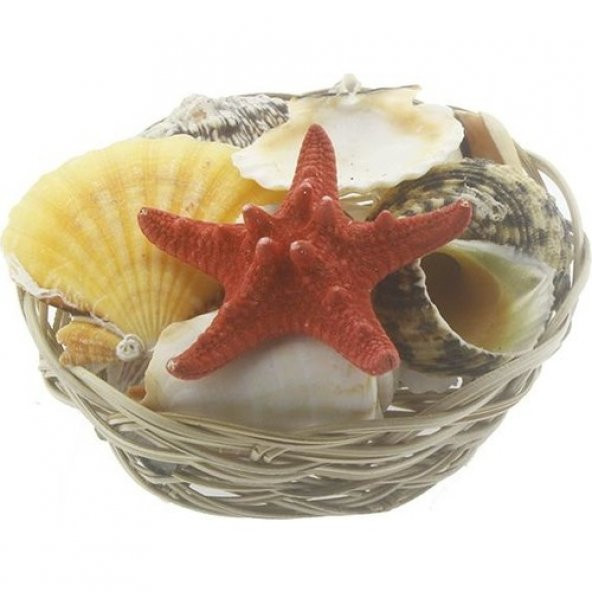 Badem Akvaryum Karışık Deniz Kabuğu Sepeti 15 Cm ürün görseli