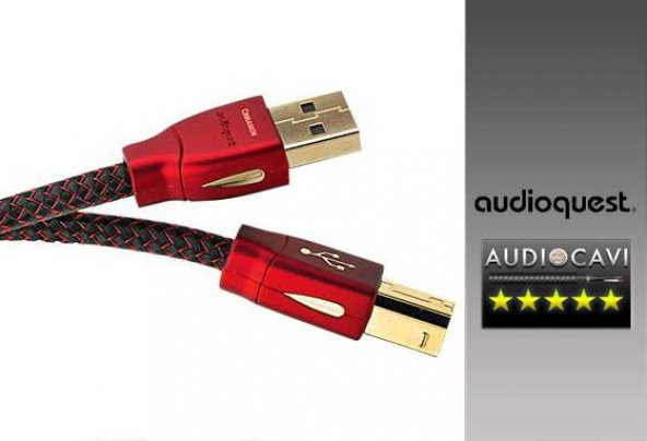 Audioquest Cinnamon USB A-B Kablo 3 mt - 2