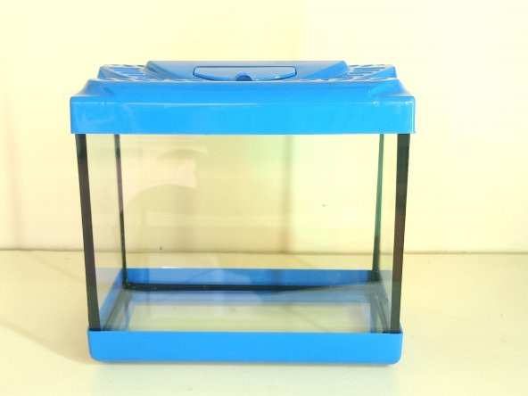 Girist Pet Beta Balıklar İçin Mavi Renk Mini Akvaryum 22,5x20x11,5