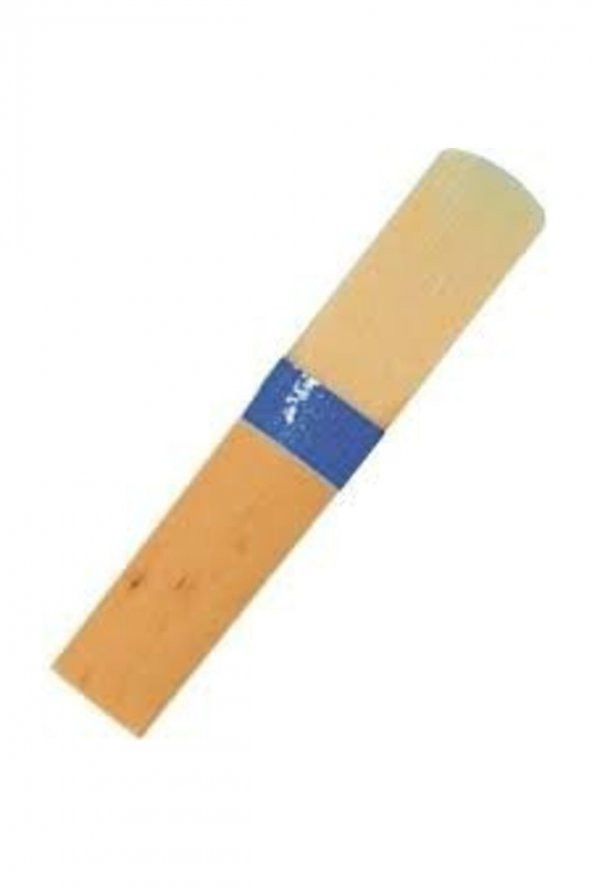 MAVİ KUŞAK KAMIŞ NO:1 TEKLİ ürün görseli 1