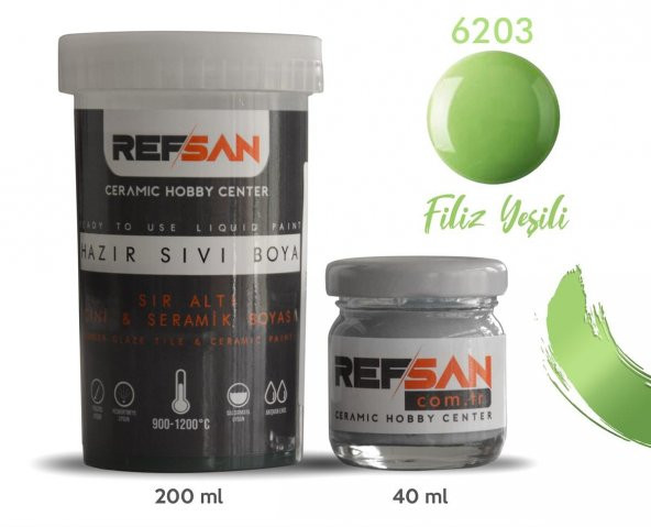 Hazır Çini ve Seramik Boyası 6203 Filiz Yeşili 40 ml - Resim 2