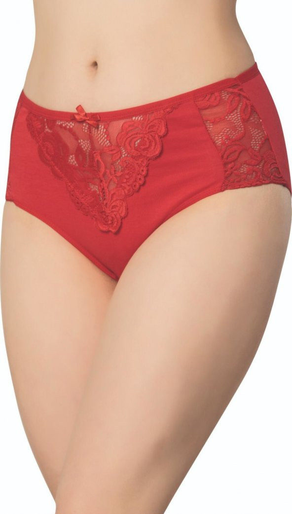 MrrMajestic Dantelli ve Fiyonklu Günlük Külot - Resim 5