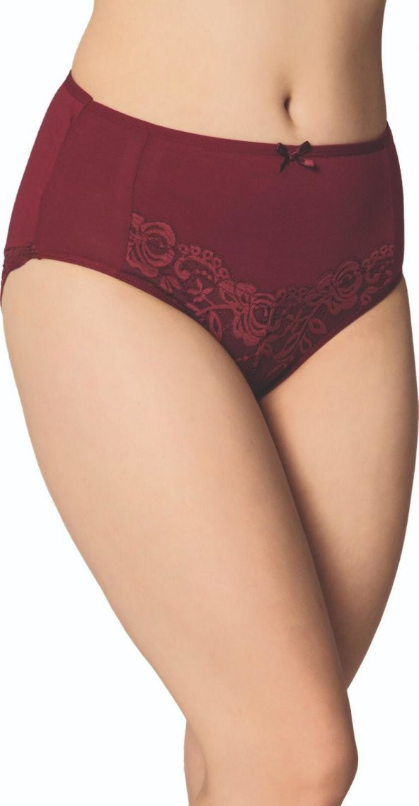 MrrMajestic Dantelli Günlük Külot - Resim 5