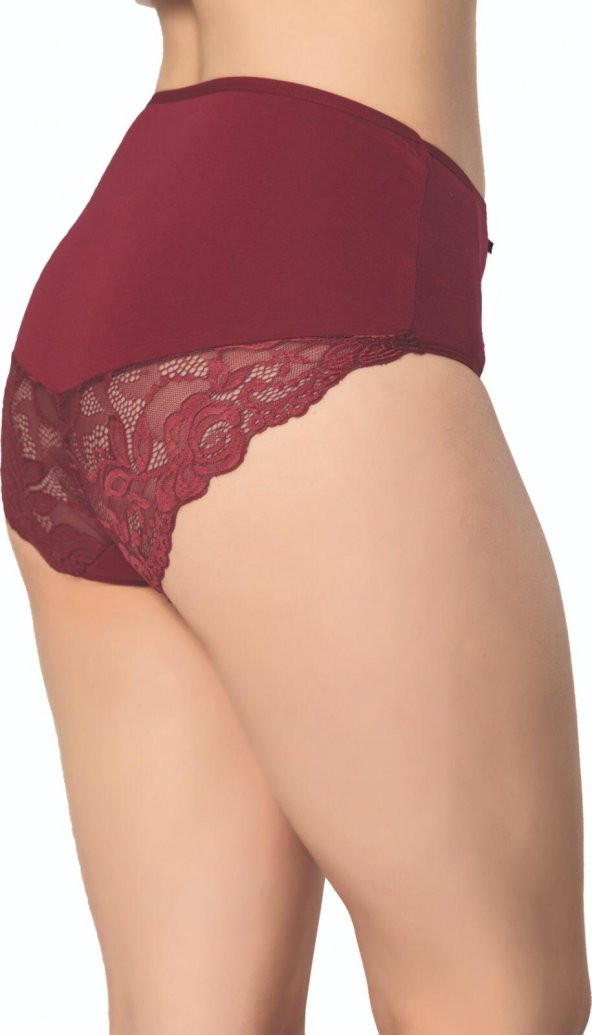 MrrMajestic Dantelli Günlük Külot - Resim 10