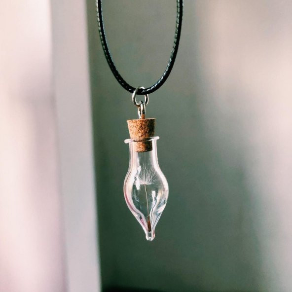 Karahindiba Fanus Kolye  Aksesuar Şık Hediyelik Süs Takı Hediye