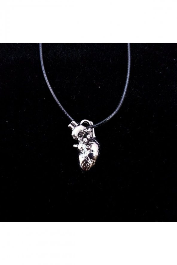 Kadın Gümüş Renk Anatomik Kalp Kolye