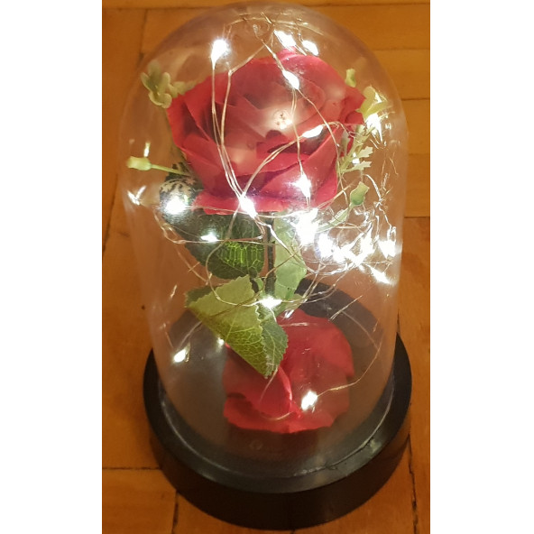 Fanus İçinde Led Aydınlatmalı Büyük Boy Solmayan Gül - 2