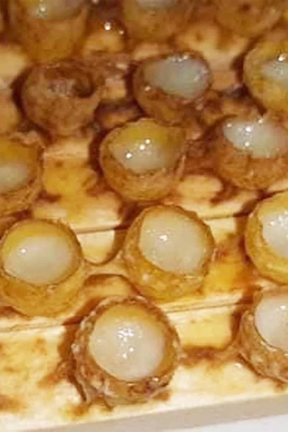 Organik Bitkim Saf Arı Sütü 1000 gr - Resim 4