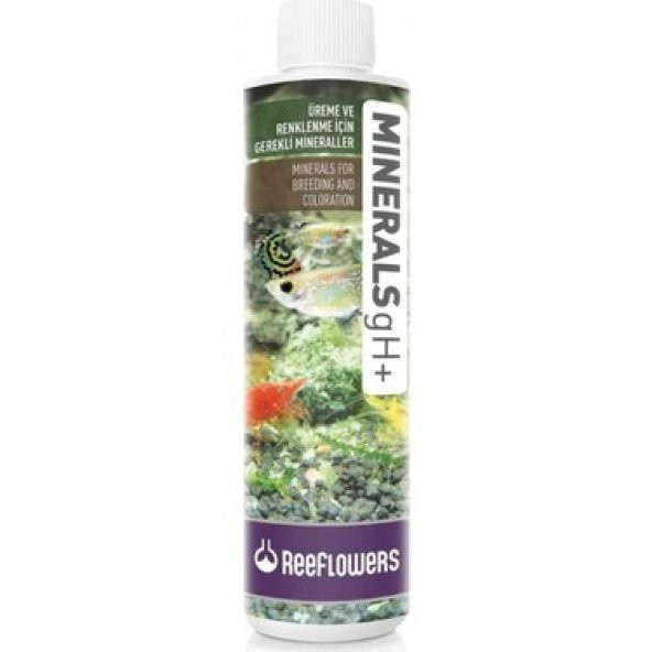 Reeflowers Minerals gH+ 85 ml