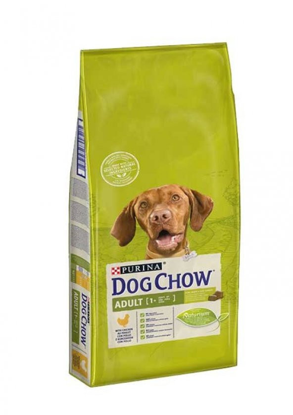 Dog Chow Adult Tavuklu Yetişkin Köpek Maması 14 Kg