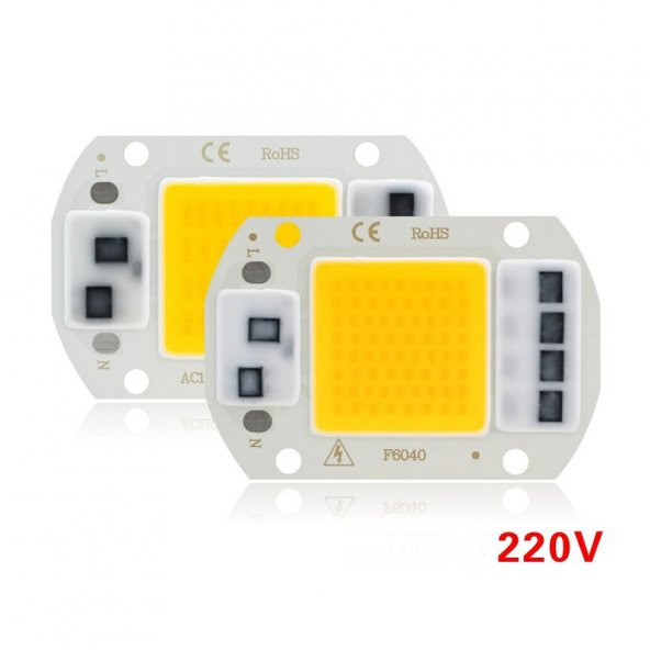 220V 50W Power Led Gün Işığı Warm White Projektör Cob Led Driver - 2