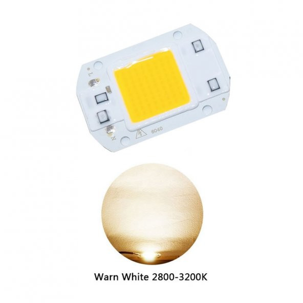 220V 50W Power Led Gün Işığı Warm White Projektör Cob Led Driver - 4
