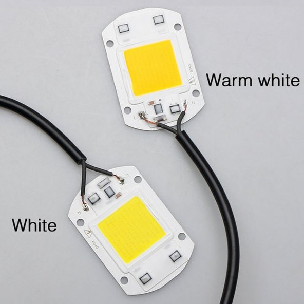220V 50W Power Led Gün Işığı Warm White Projektör Cob Led Driver - 5