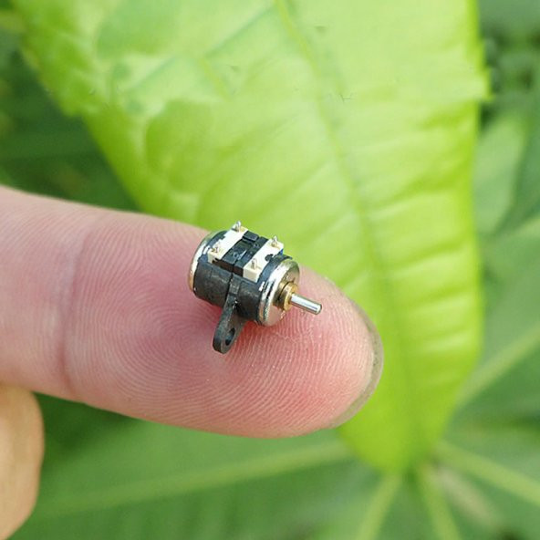 Microstep Motor 6x7.5mm 2 Faz 4 Telli Fotoğraf Makinesi Lens - 3