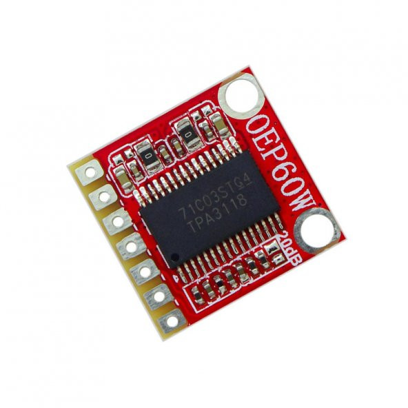 OEP60W D Class Mono 60W Dijital Amfilikatör Ses Kuvvetlendirici - Resim 4