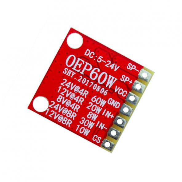 OEP60W D Class Mono 60W Dijital Amfilikatör Ses Kuvvetlendirici - Resim 5