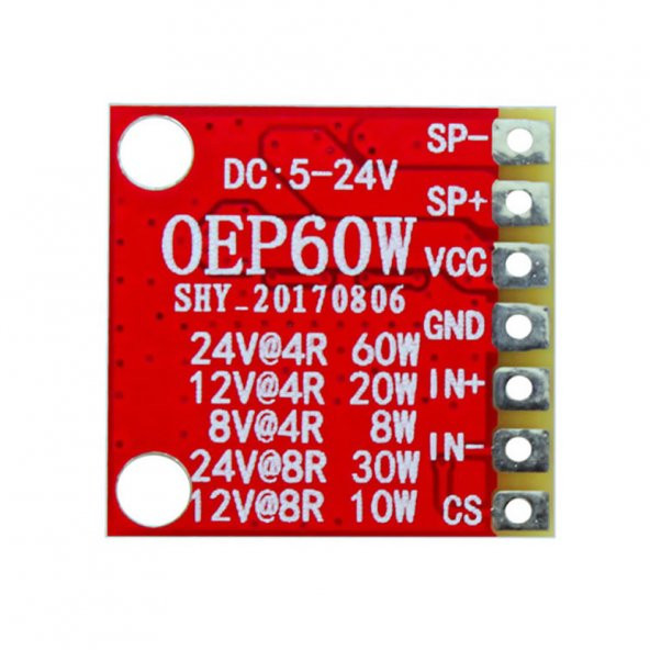 OEP60W D Class Mono 60W Dijital Amfilikatör Ses Kuvvetlendirici - Resim 6