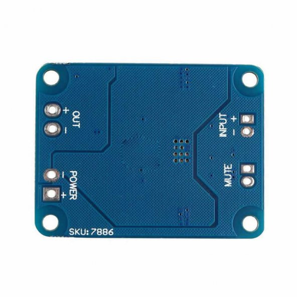 TPA3118 60W Mono Digital Ses Amfi Modül DC 12V-24V Tek Kanal Class D Amplifikatör Amfi Amplifier - 4