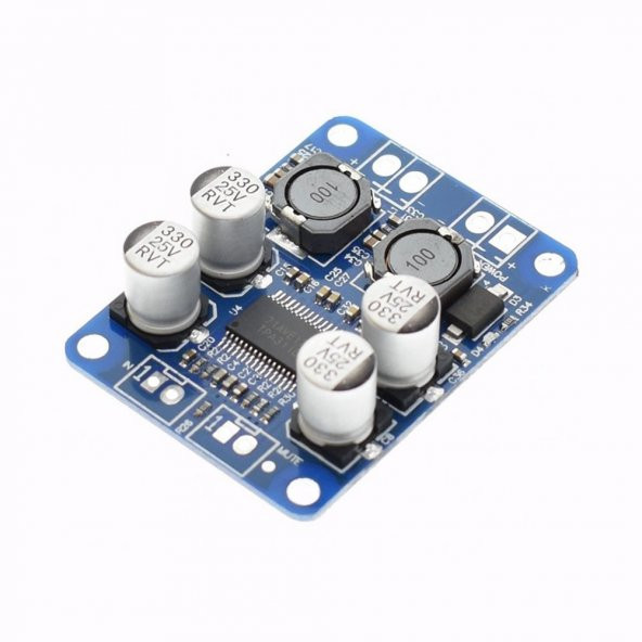 TPA3118 60W Mono Digital Ses Amfi Modül DC 12V-24V Tek Kanal Class D Amplifikatör Amfi Amplifier - 6