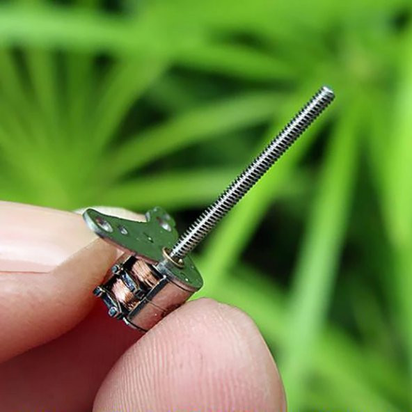Micro Step Motor Uzun Mil 6X5,5Mm 2 Faz (Dikkat Çok Küçüktür ) - 5