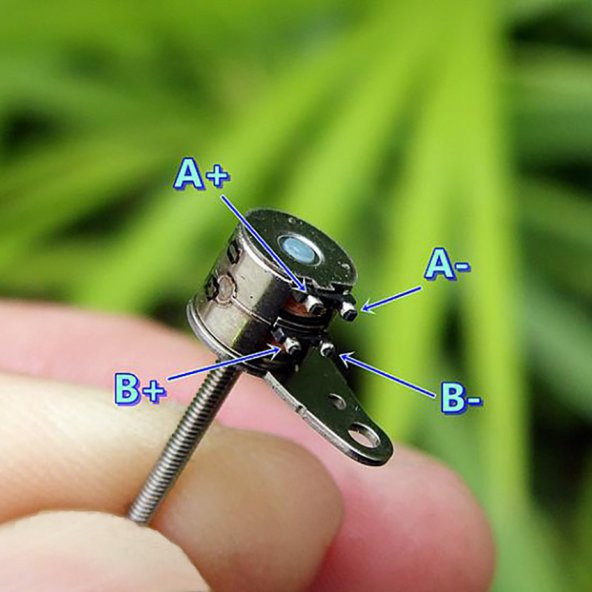 Micro Step Motor Uzun Mil 6X5,5Mm 2 Faz (Dikkat Çok Küçüktür ) - 6