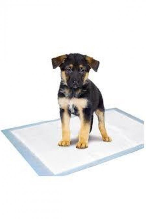Mavvell Kedi Köpek Çiş Pedi 60x90 30 Adet - 3
