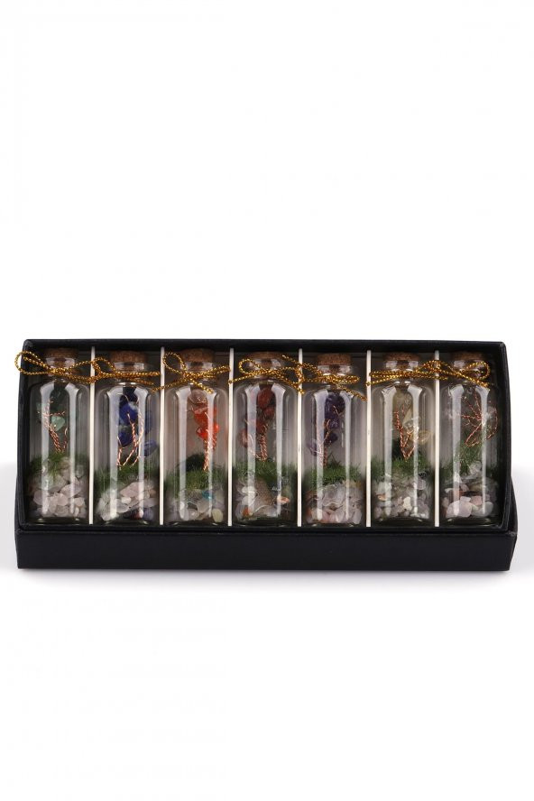 Doğal Taş Tüp Şişe İçinde Dekoratif Ağaç 7li Set - 2