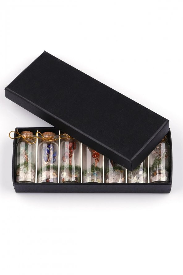 Doğal Taş Tüp Şişe İçinde Dekoratif Ağaç 7li Set - 3