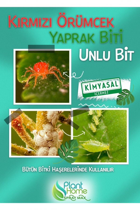 Planthomespraymax Organik Böcek Kovucu - Trips Yeşil Bit Kırmızı Örümcek Unlu Bit Kovucu - 3